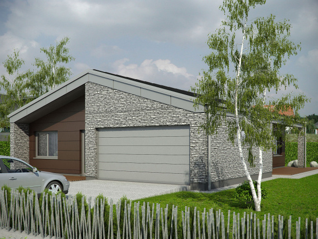 Array - perspektiva PL